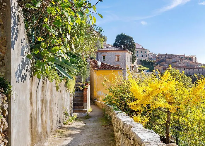 La Casina Nel Borgo Daire Camaiore